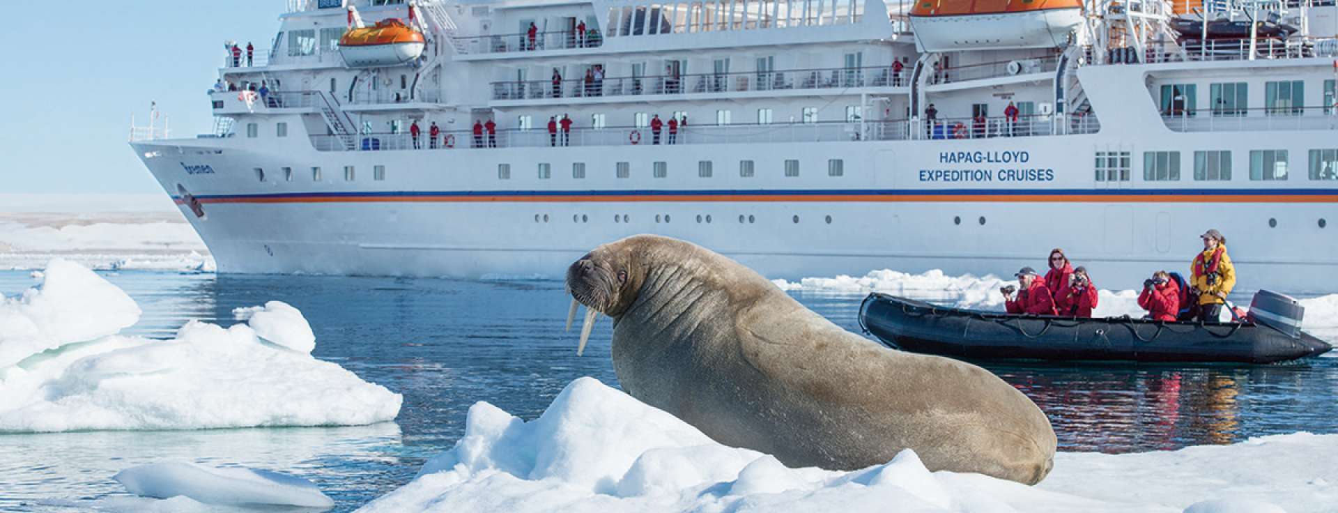 MS Bremen: het allereerste schip ter wereld met het Polar Schip Certificaat' | Cruisemarkt