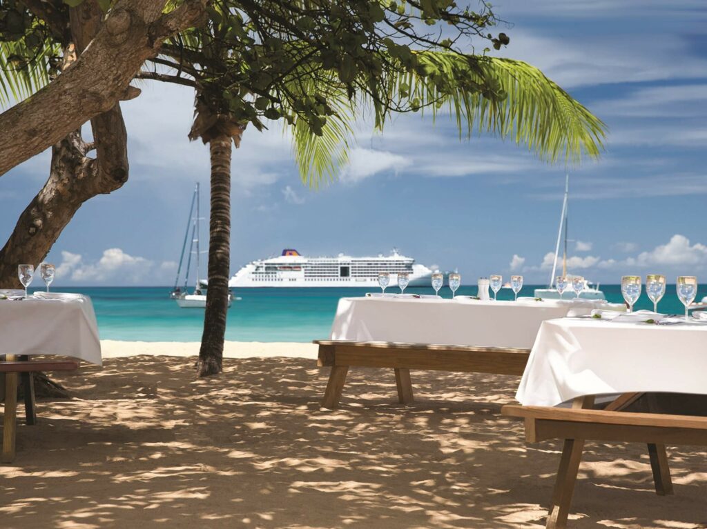 Beach bbq - Hapa Lloyd- Grenadines